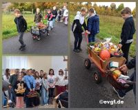 bild-6