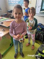 bild-5