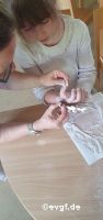 hand-5