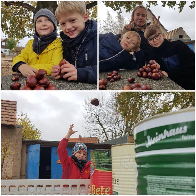 herbstferien 12