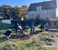 herbstputz-1