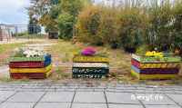 Bild 19