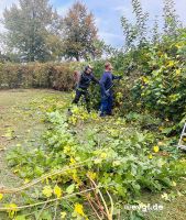 Bild 16