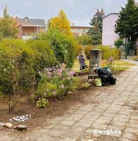 Bild 12