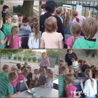 bild-5