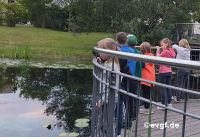 lesenacht-4