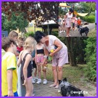 IMG-20240816-WA0003-1