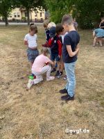 bild-8